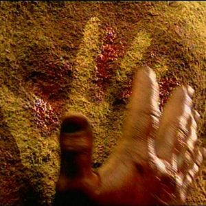 Foto Altamira: Desde siempre para siempre