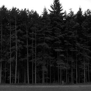 Foto The Eyes Of My Mother