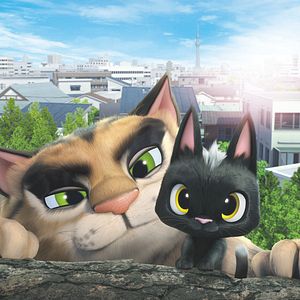 Foto Gatos. Un viaje de vuelta a casa