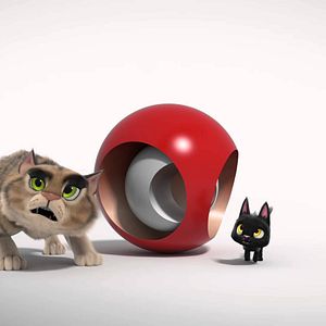 Foto Gatos. Un viaje de vuelta a casa