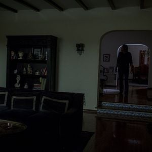 Foto Lobos en la noche