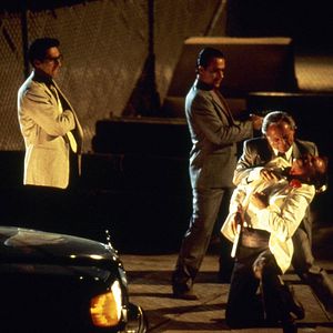 Foto Camino de retorno