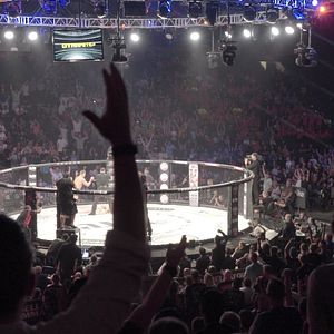 Foto The Hurt Business