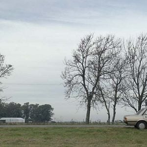 Foto Camino a la Paz