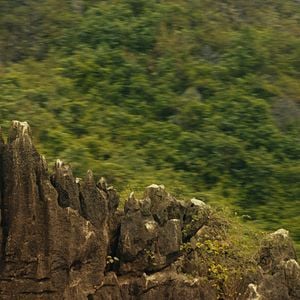 Foto Kong: La Isla Calavera