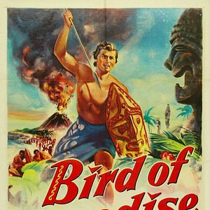 Foto Ave del paraíso