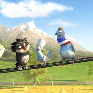 Foto Richard, la cigüeña