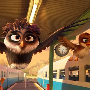 Foto Richard, la cigüeña