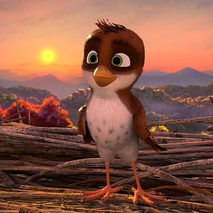 Foto Richard, la cigüeña