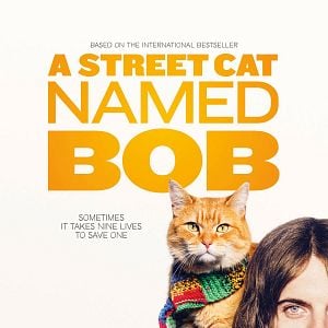Foto Un gato callejero llamado Bob