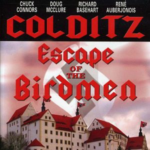 Foto Pájaros humanos