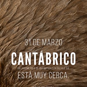 Foto Cantábrico: Los dominios del oso pardo