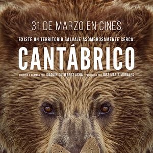 Foto Cantábrico: Los dominios del oso pardo