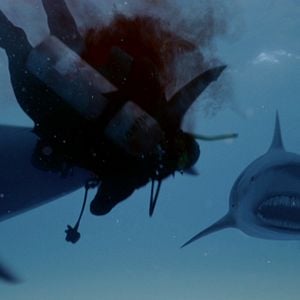 Foto Mandíbulas letales