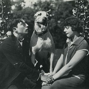 Foto Siete ocasiones