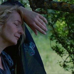 Foto Corinne Masiero