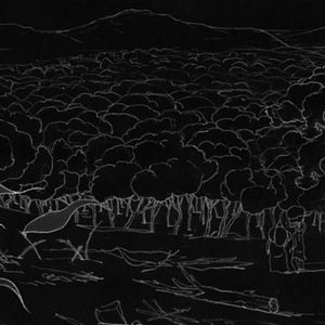 Foto Bolingo. El bosque del amor