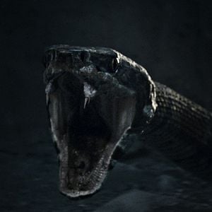 Foto Rey Arturo: La leyenda de Excalibur