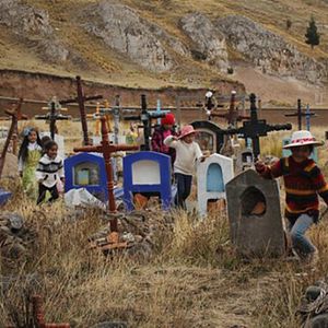 Foto Jardines de plomo