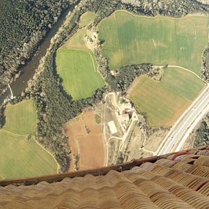 Foto Los pájaros no tienen vértigo