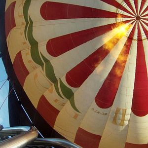 Foto Los pájaros no tienen vértigo