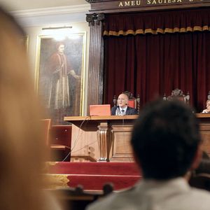 Foto Los pájaros no tienen vértigo