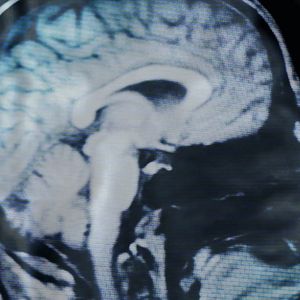 Foto Los pájaros no tienen vértigo