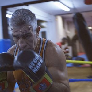 Foto Los pájaros no tienen vértigo