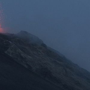 Foto Los pájaros no tienen vértigo