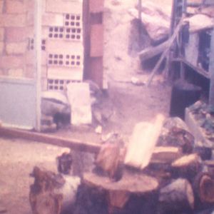 Foto Los pájaros no tienen vértigo