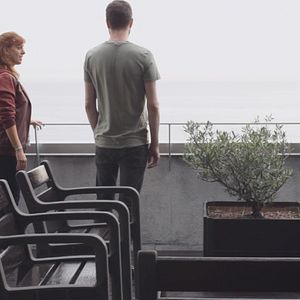 Foto Los pájaros no tienen vértigo