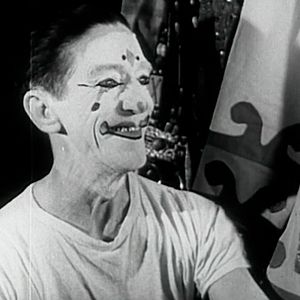 Foto Los pájaros no tienen vértigo