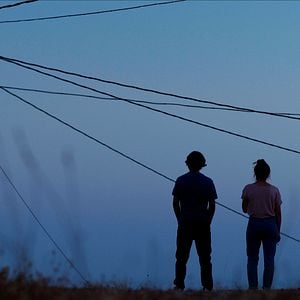 Foto Los Amores cobardes