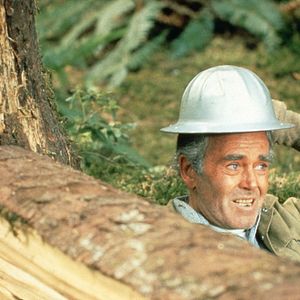 Foto Casta invencible