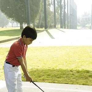 Foto Recién llegados