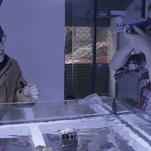 Foto Yu Gang (La pecera)