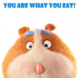 Foto Animal Crackers