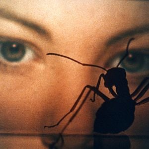 Foto Lynne Frederick