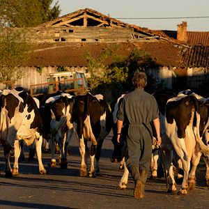 Foto Un héroe singular