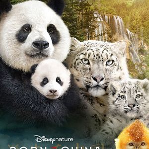 Foto Nacidos en China