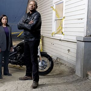 Foto Janeane Garofalo