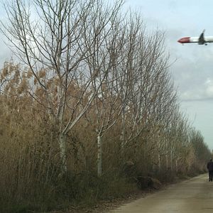 Foto Los desheredados