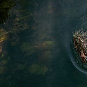 Foto En la Vía Láctea