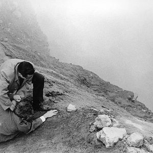 Foto Los canallas duermen en paz