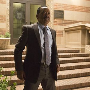 Foto Queridos blancos