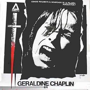 Foto La casa sin fronteras