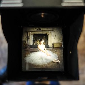 Foto The Black Gloves