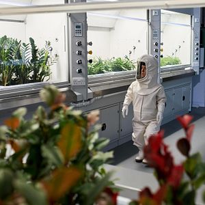 Foto Doctor Who (2005)