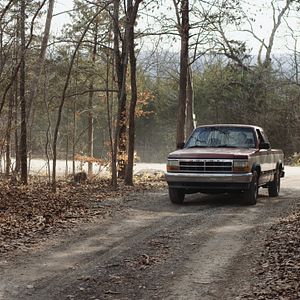 Foto Tonight She Comes