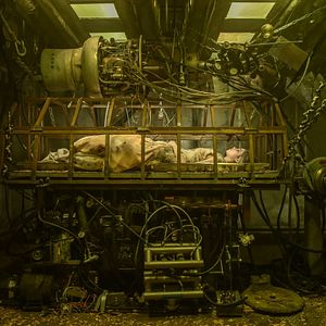 Foto The Curse of Sleeping Beauty